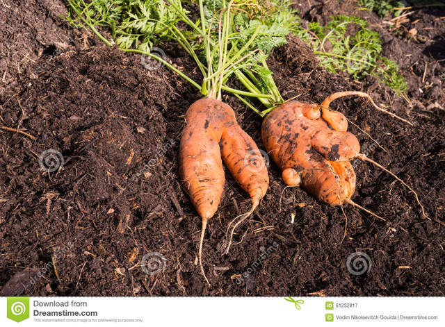 Naturalismo Psiquiátrico