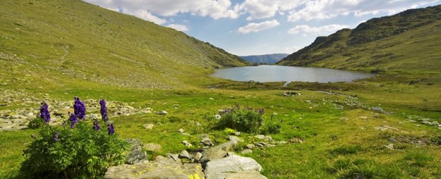An apartment in France