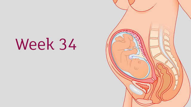 Week 34