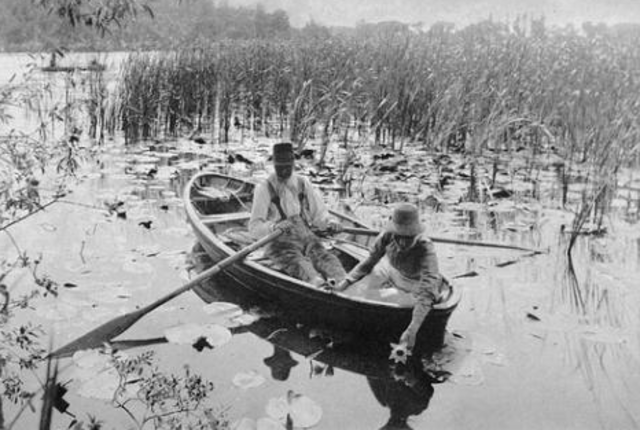 Peter Henry Emerson- Pictorialist