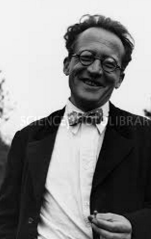 The infamous cat in a box