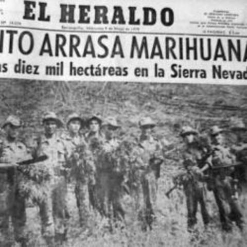 La Bonanza Marimbera (1975-1985)