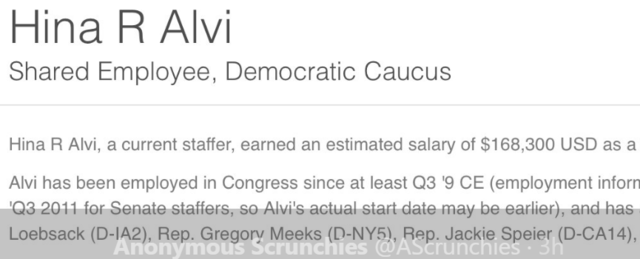 Hina Alvi Hired Q3 2009 In Greg Meeks Office