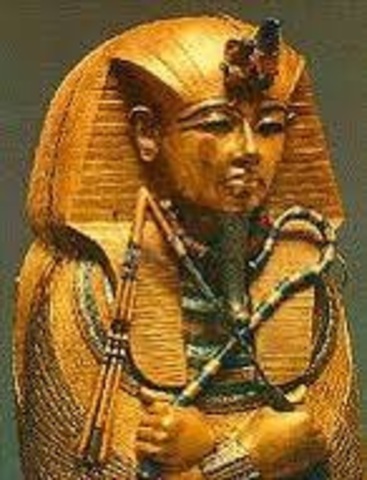 Cambios en las secciones