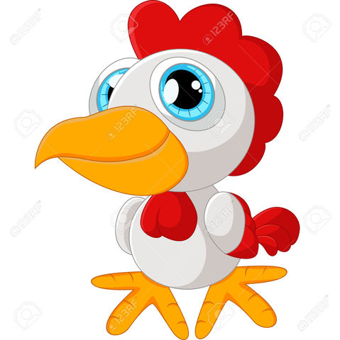 el gallo no se quiere levantar