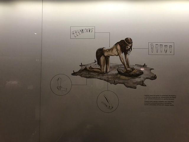 Neolítico - 10.000 años