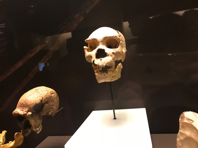 Paleolítico - 2.000.000 de años