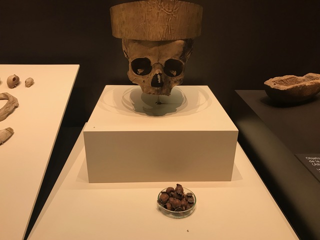 Edad de los Metales - 8000 años