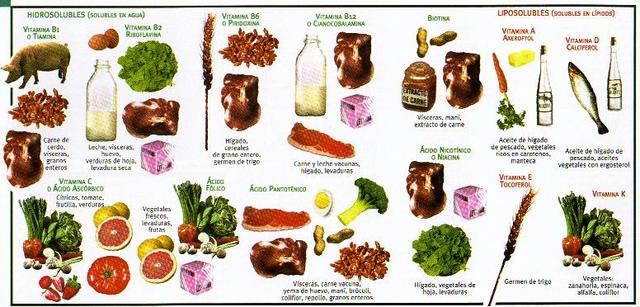 estudios científicos