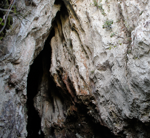 Cueva del hueso de Pillarno