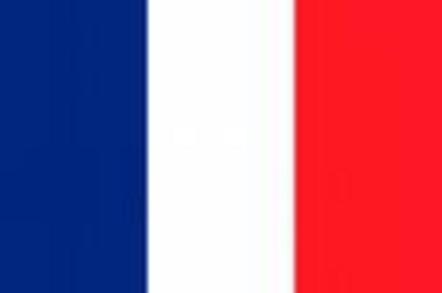 Got captured by the french