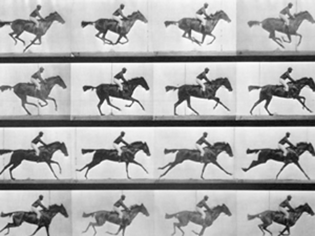 Muybridge