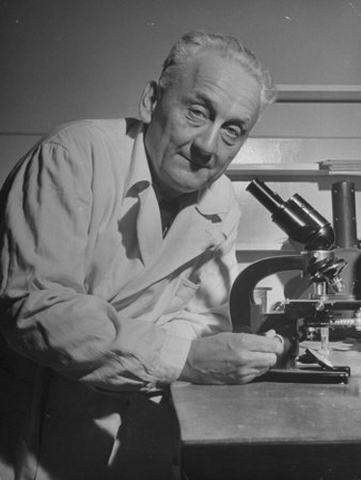 Albert Szent-Györgyi