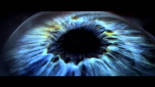 Evolución molécula a molécula