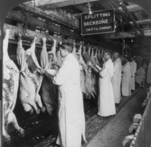 Pure Food and Drug Act