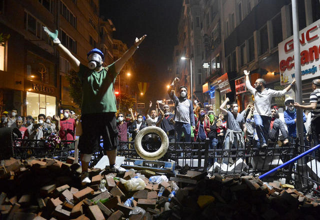 Gezi Park Protests (Turkey)