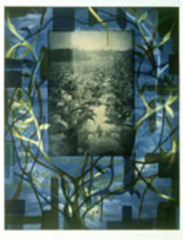 Radcliffe Bailey | Creative Collaboration