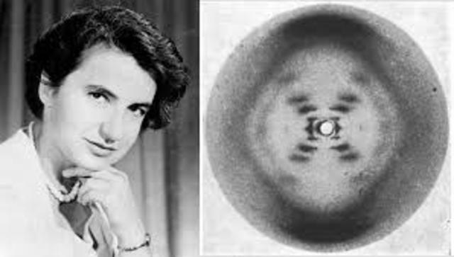 Rosalind Franklin