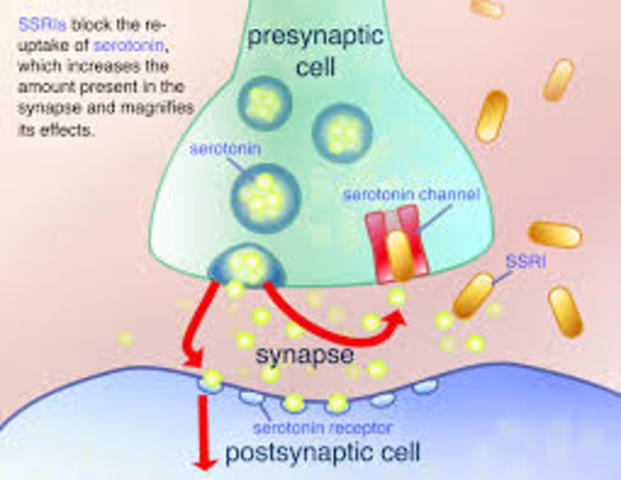 Treatment of my Generalized Anxiety Disorder