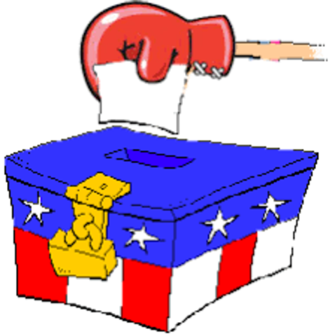 Initiative & Referendum