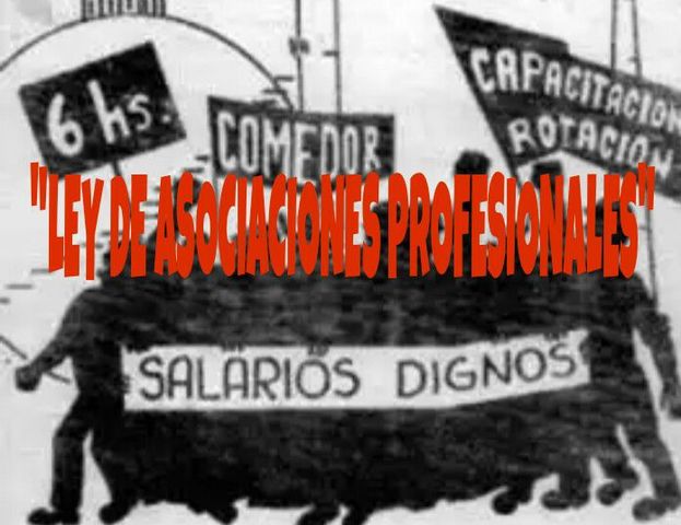 "Ley de Asociaciones Profesionales"