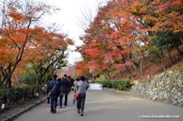 Visit Yongdusan Park