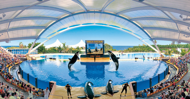 Visit Loro Parque