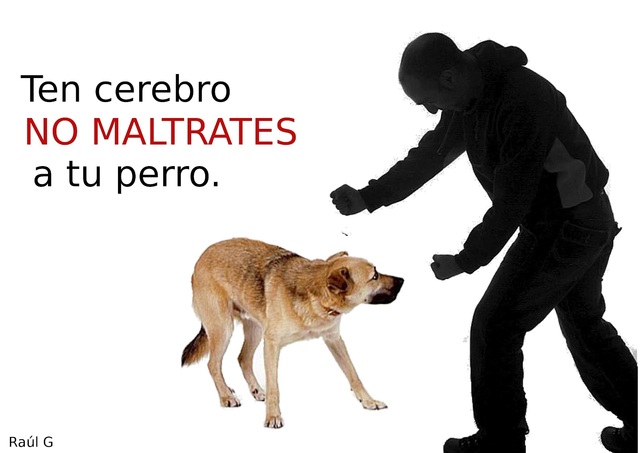 Un estudio hecho en Estados Unidos