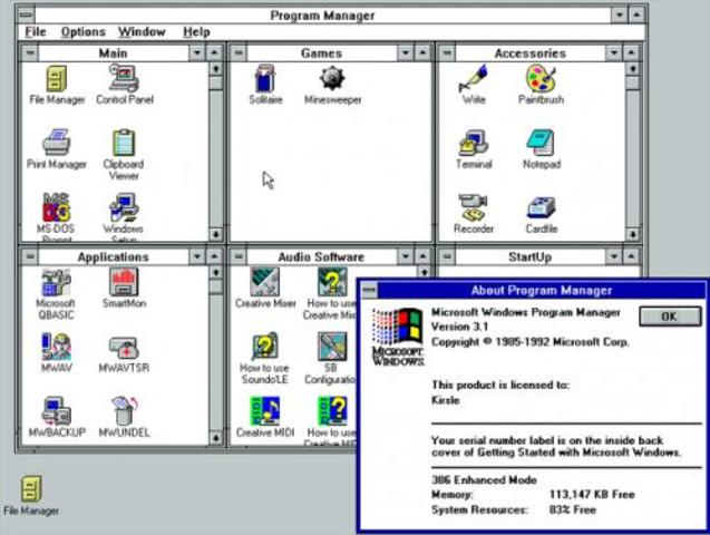 WINDOWS 3.1