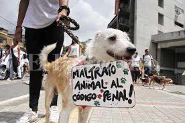 Ley protección animal