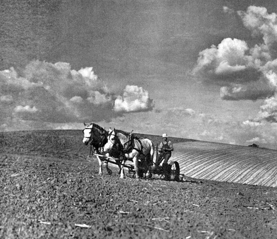 Agriculture Adjustment Act of 1933