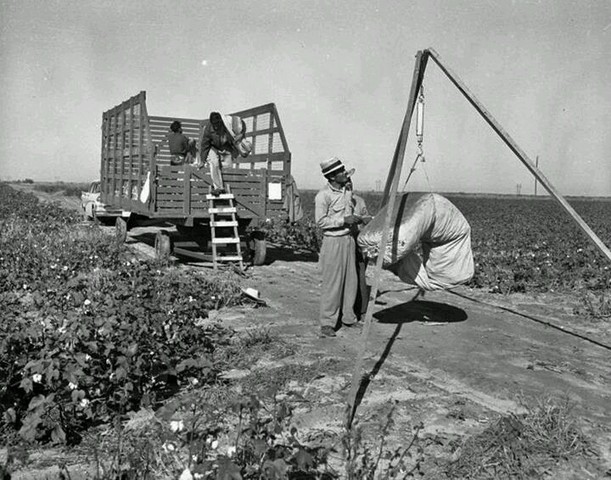 Agricultural Act of 1958