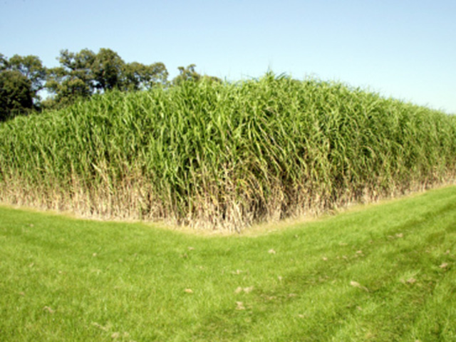 Agricultural Act of 2014