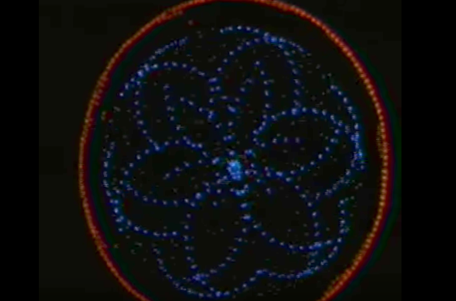 John Whitney - Permutations