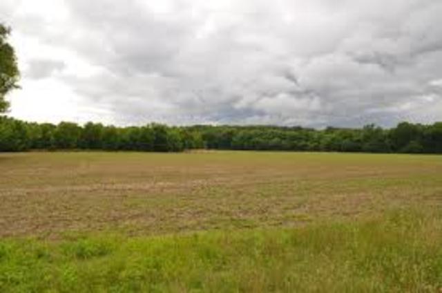 Food and security act of 1985