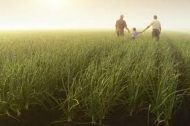 Agriculture Act of 2014