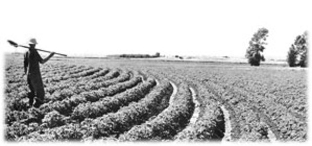 1965 Food and Agriculture Act