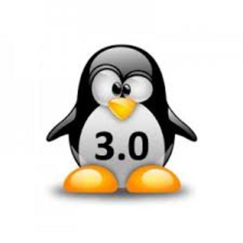 versión 3.0 del kernel