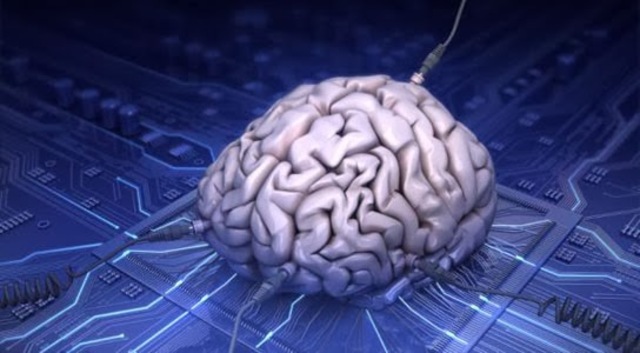 La memoria del cerebro se conectara a una base de datos