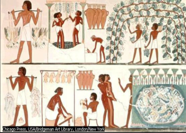 Estado durante el antiguo Egipto