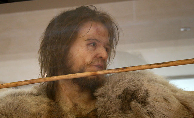 HOMO SAPIENS SAPIENS