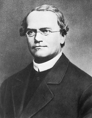 MENDEL