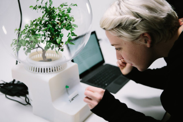 Hablar con las plantas