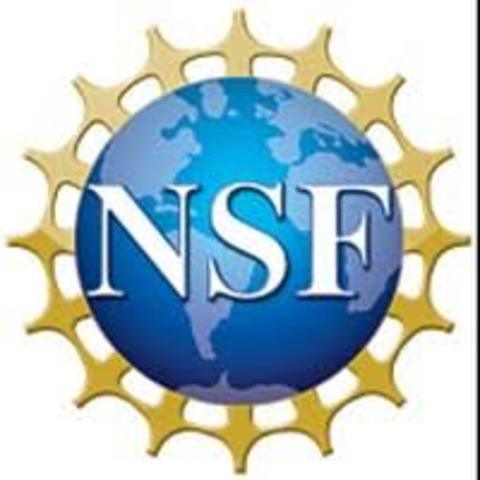 National Science Foundation de E.U.