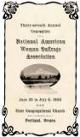 National American Woman Suffrage Association Formed