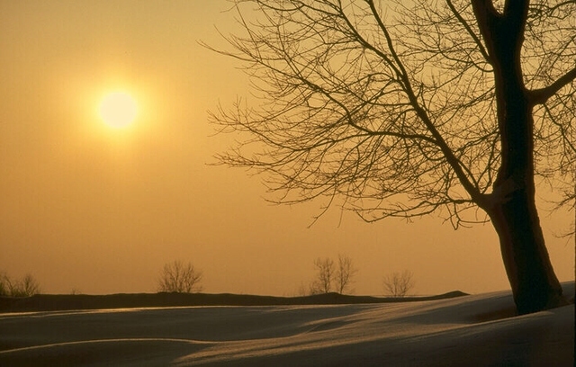 Reunión con Andrea Anfossi