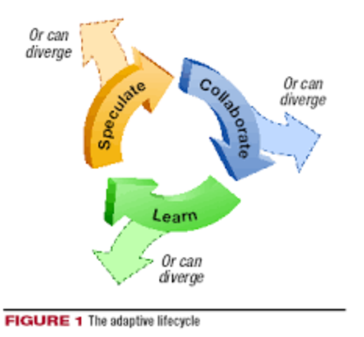 Desarrollo Adaptativo de Software (Adaptive software development)