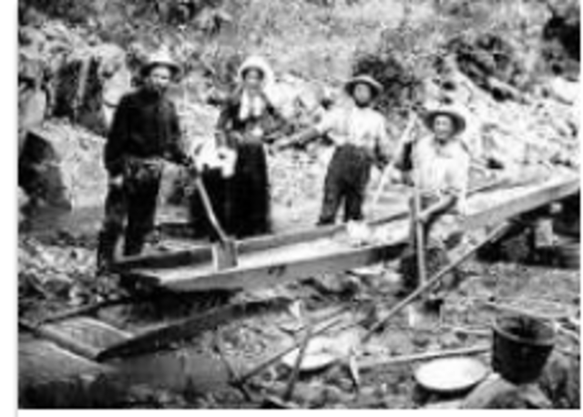 California Gold Rush
