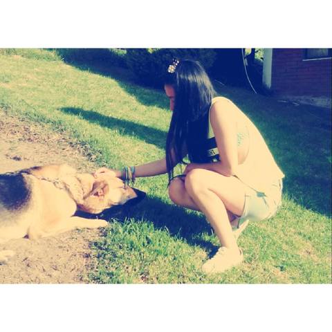 La llegada de mi perrita