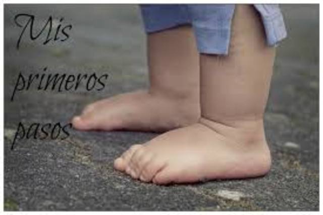 Mis primeros pasos